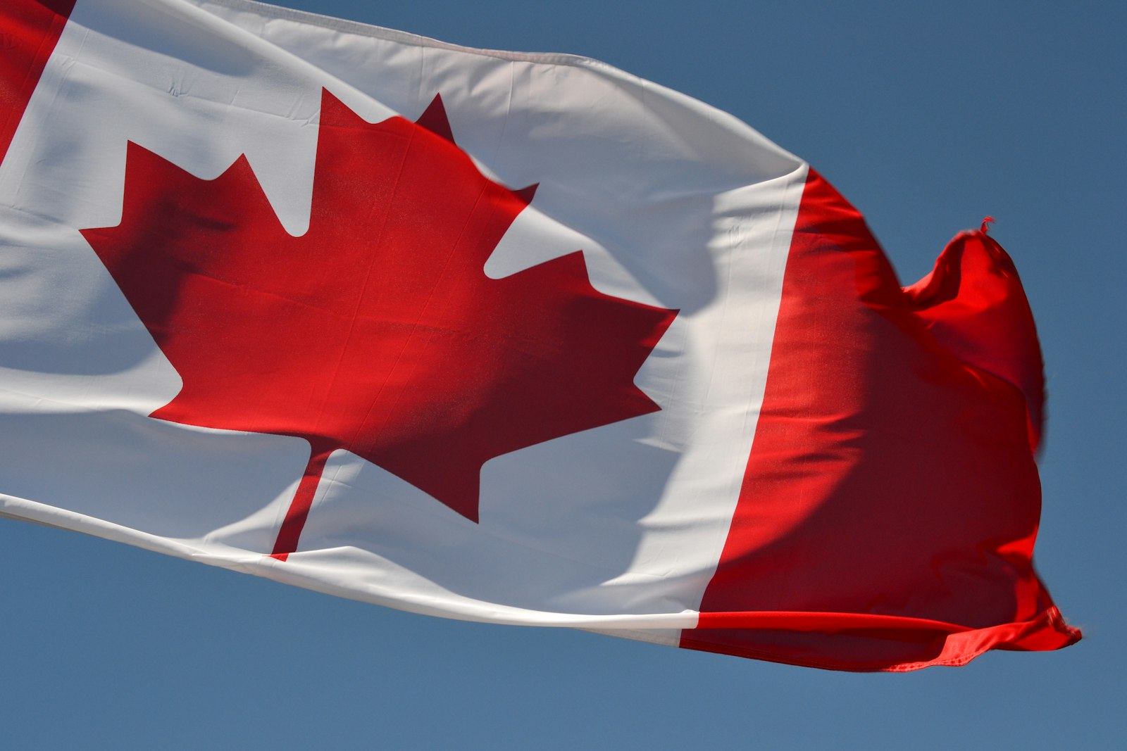 加拿大公民身分證明積壓惡化：Bill C-3血緣公民權掀申請潮，美籍申請人居冠，等候時間破25個月